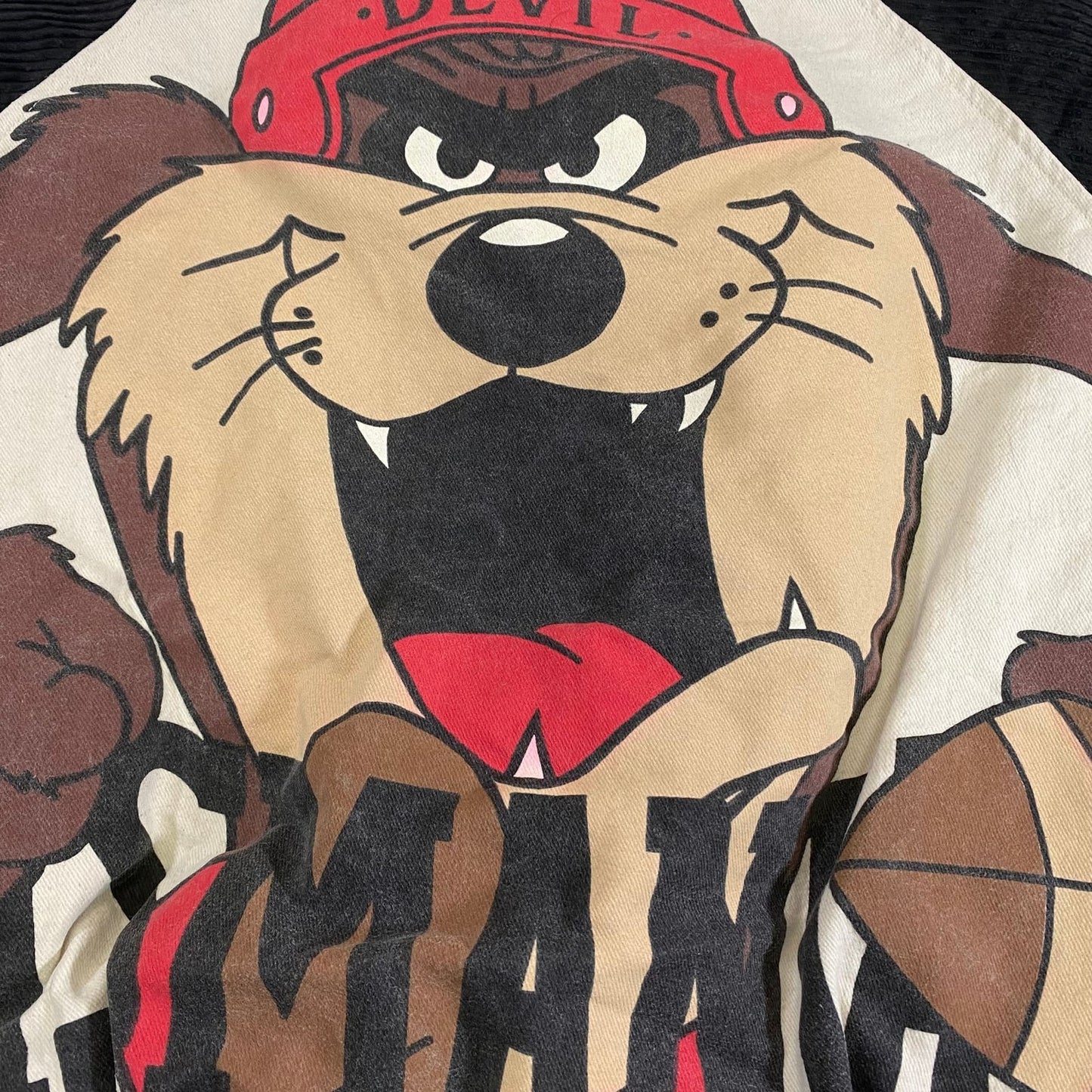 Vintage Looney Tunes Tasmanian Devil Terrycloth Varsity Baseball Jacket
