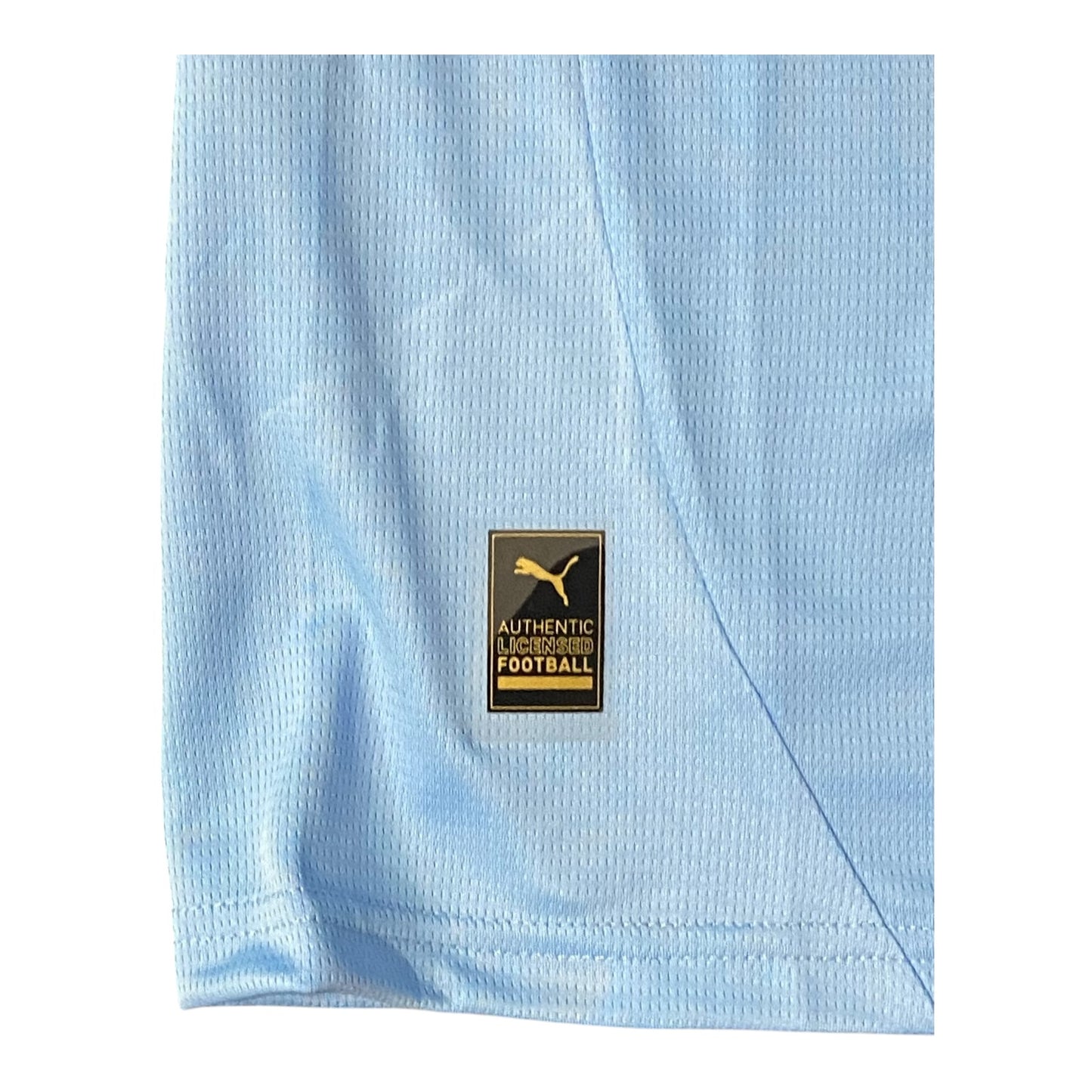 Puma Manchester City 24/25 Home Jersey