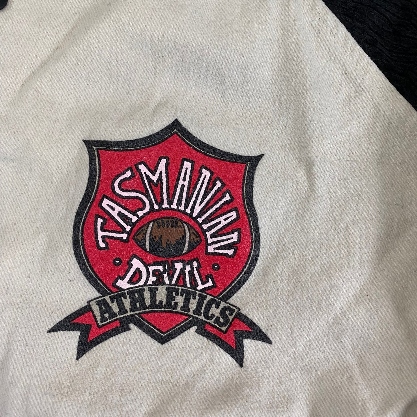 Vintage Looney Tunes Tasmanian Devil Terrycloth Varsity Baseball Jacket