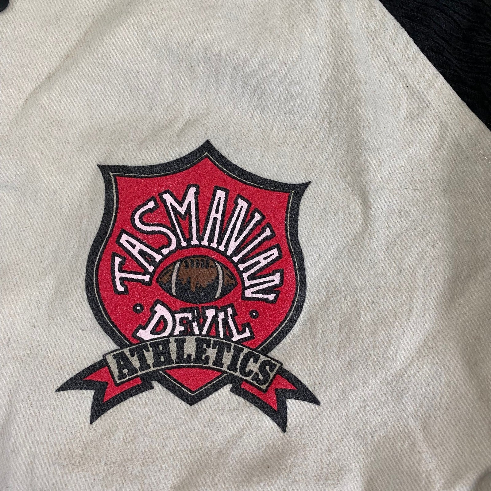 Vintage Looney Tunes Tasmanian Devil Terrycloth Varsity Baseball Jacket