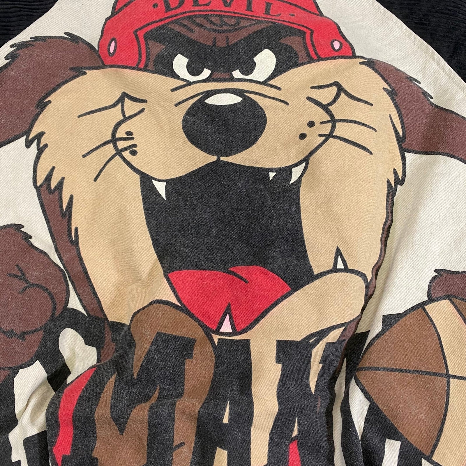 Vintage Looney Tunes Tasmanian Devil Terrycloth Varsity Baseball Jacket