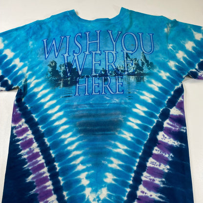 VINTAGE PINK FLOYD 2002 tie dye Progressive rock band promo shirt