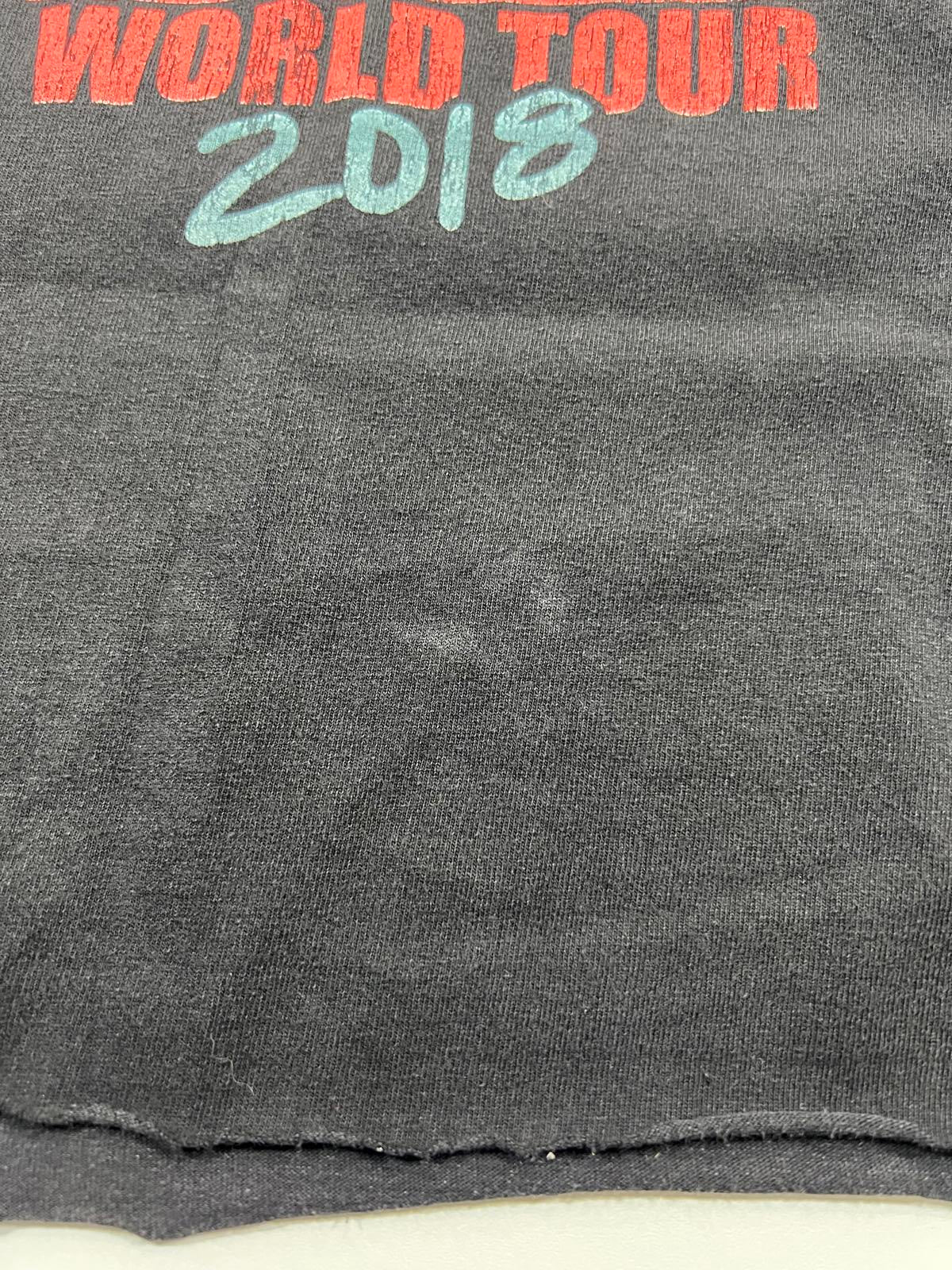 Walk With Elias 2018 World Tour Graphic T-Shirt