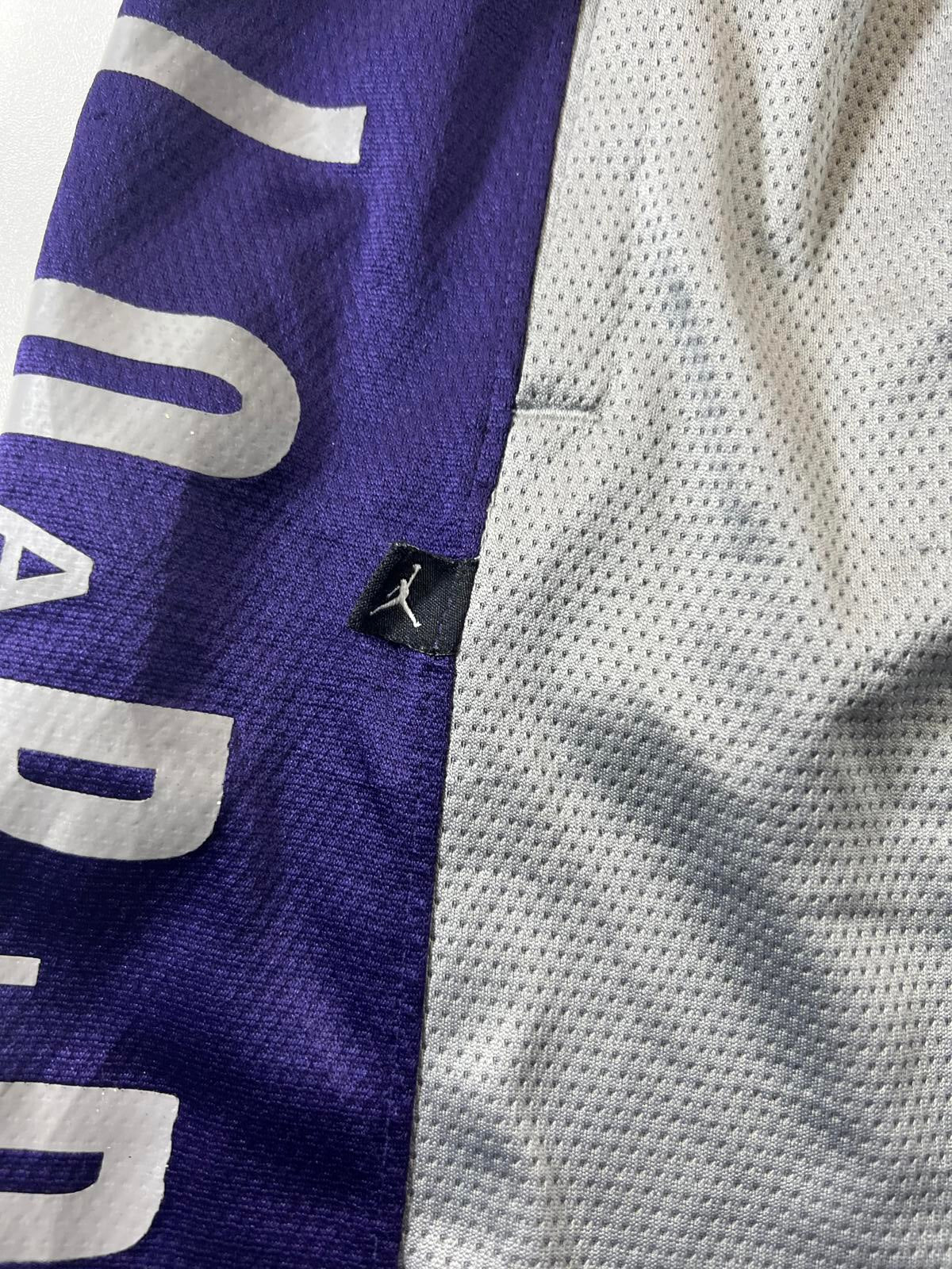 Jordan Men's Basketball Shorts Grey and Purple