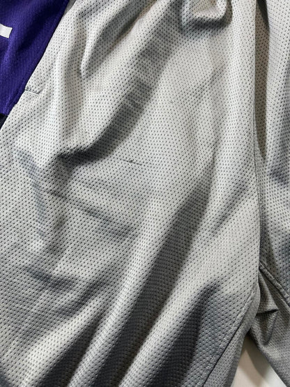 Jordan Men's Basketball Shorts Grey and Purple