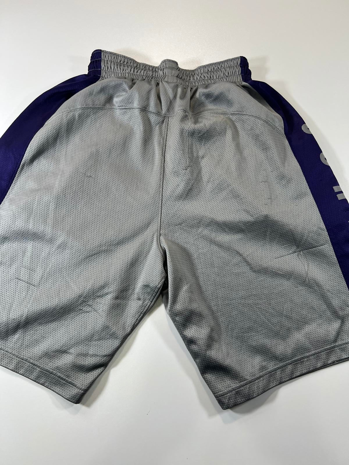 Jordan Men's Basketball Shorts Grey and Purple