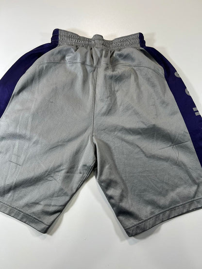 Jordan Men's Basketball Shorts Grey and Purple