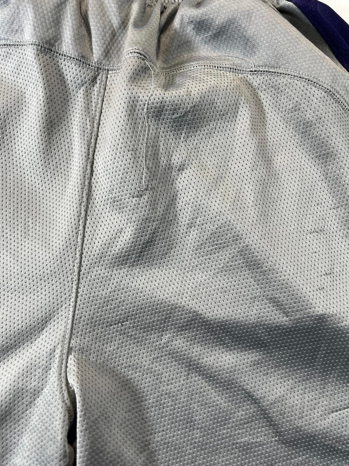 Jordan Men's Basketball Shorts Grey and Purple