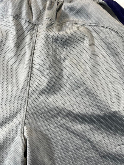 Jordan Men's Basketball Shorts Grey and Purple