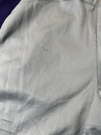 Jordan Men's Basketball Shorts Grey and Purple