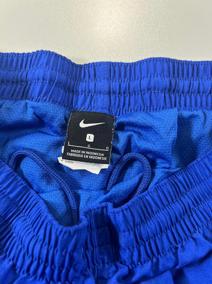 Nike Men's Blue and Turquoise Colourblock Athletic Shorts