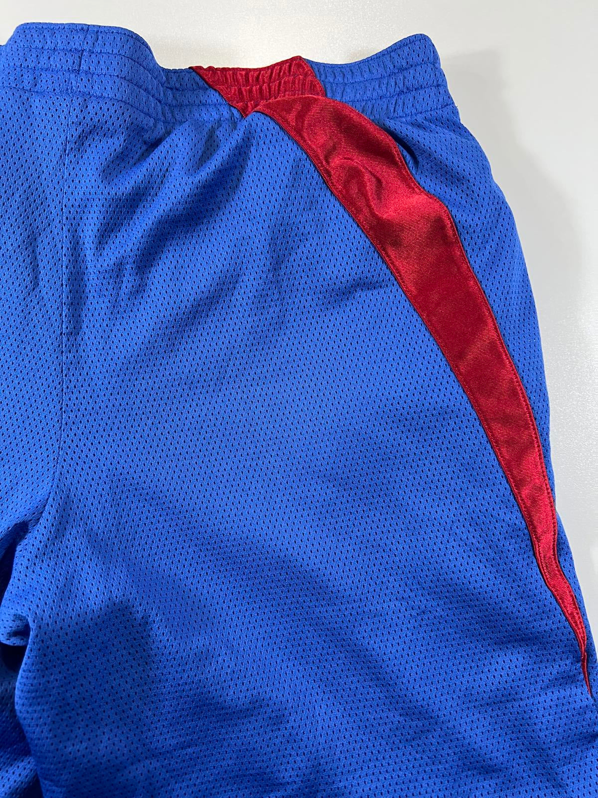 Nike Blue and Red Athletic Basketball Shorts