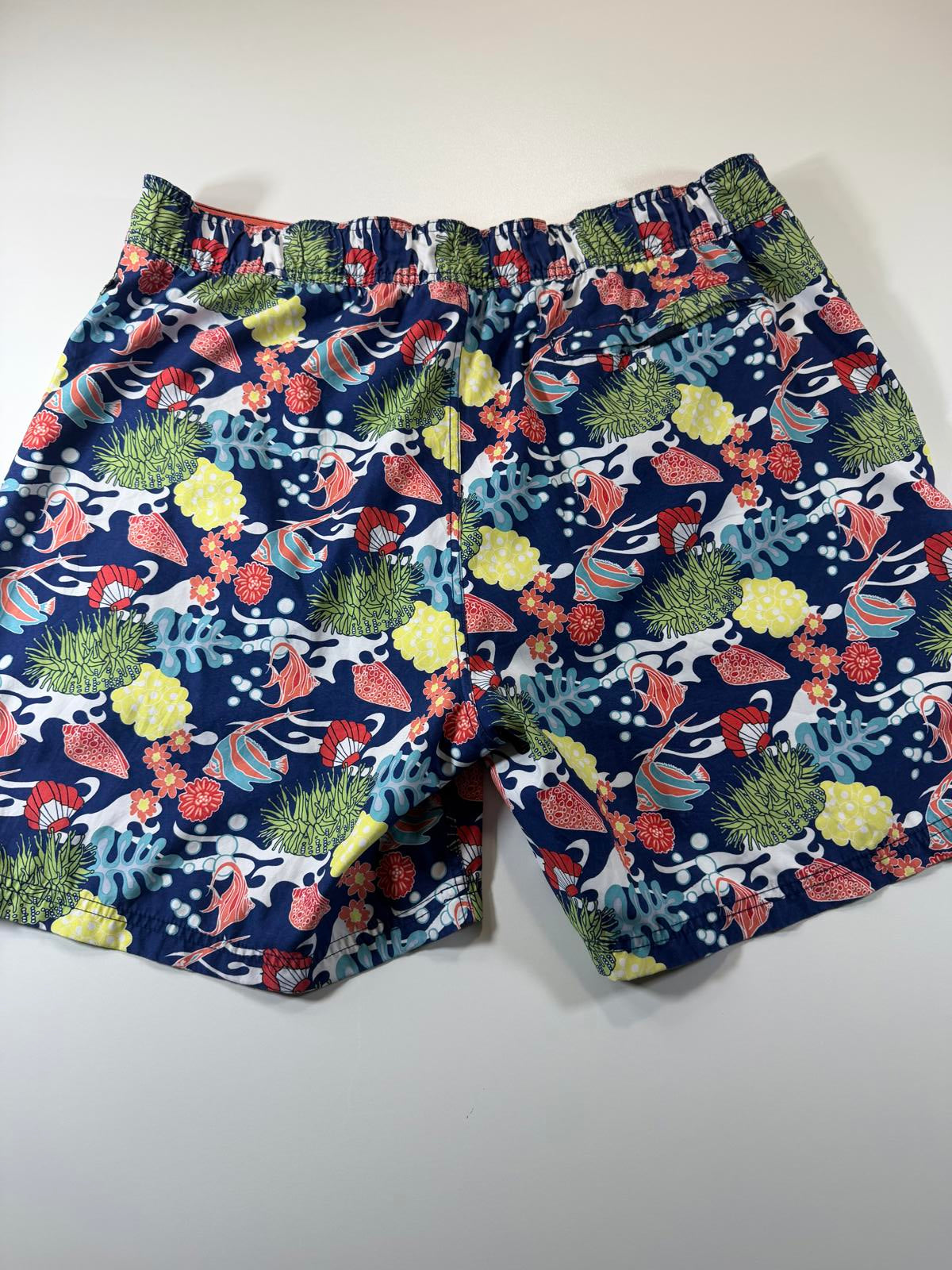 Men's Swim Shorts with Tropical Fish and Coral Print XXL