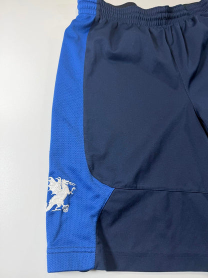 Nike Men's Athletic Shorts with Blue Side Panels