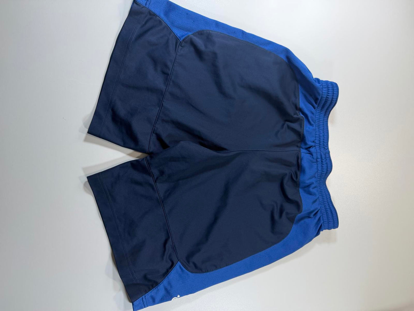 Nike Men's Athletic Shorts with Blue Side Panels