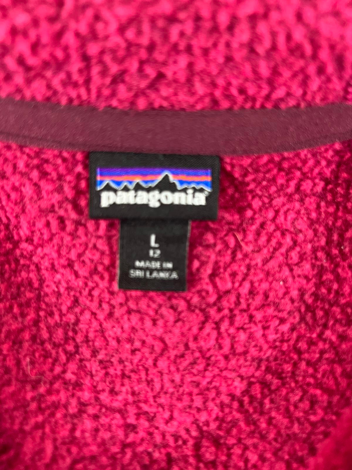 Patagonia Youth Large Fleece Zip-Up Hoodie Jacket Youth L