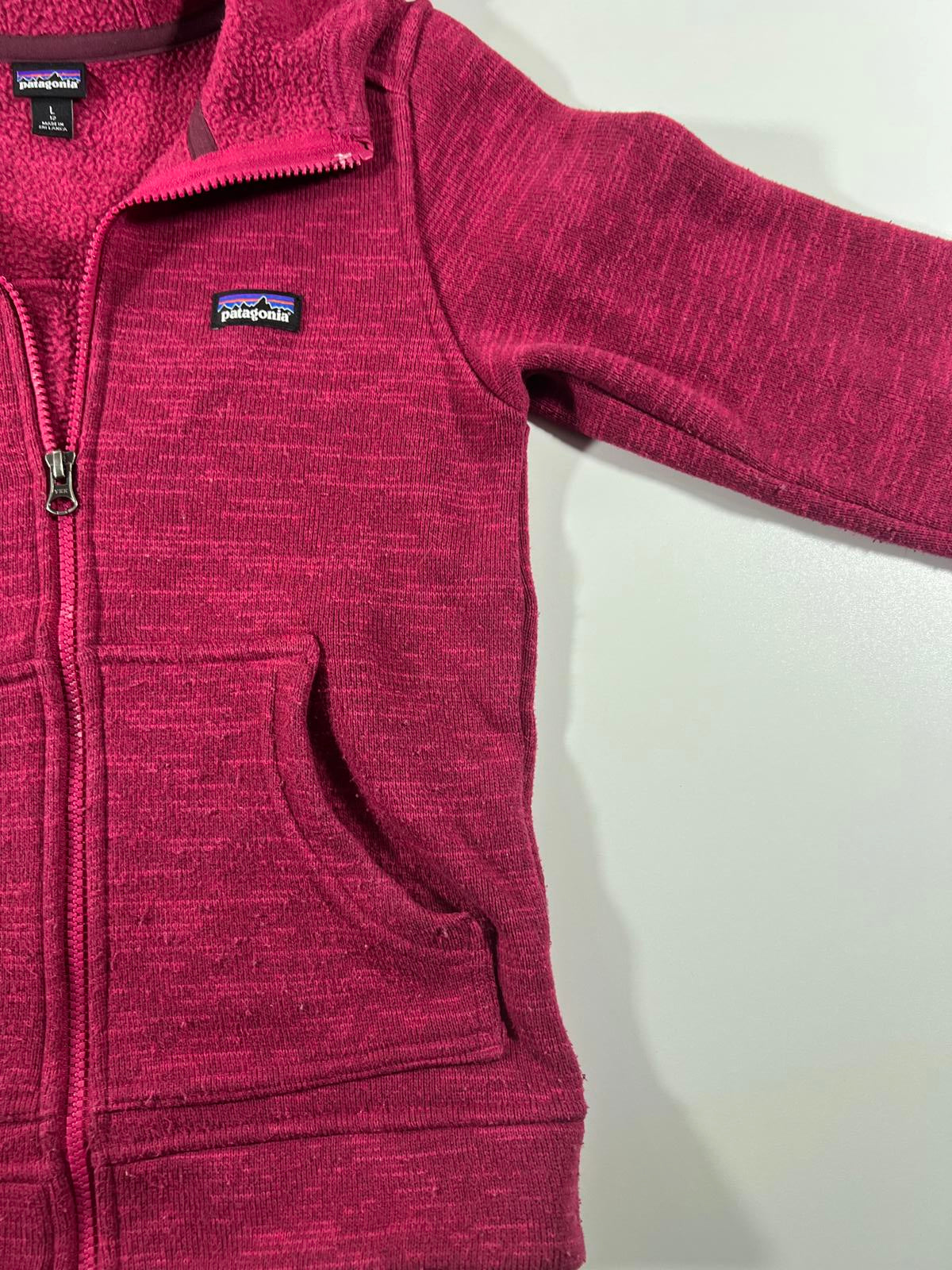 Patagonia Youth Large Fleece Zip-Up Hoodie Jacket Youth L