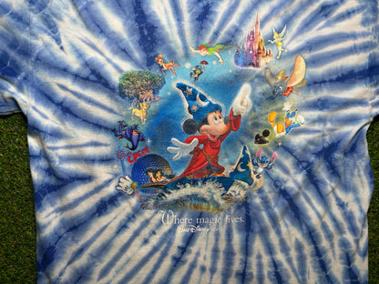 Disney World Tie dye Pattern T shirt